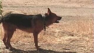 Metro - Just Great Sex Vol 04 - scene 1 - extract 2 porn video