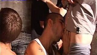 Twinks Group Sex Party porn video